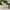 Jakarta Outdoor Stoel met Armleuning