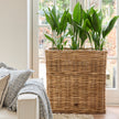 Fiuggo Plantenbak 90x37