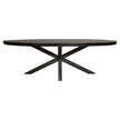 Eettafel Denver Zwart | Ovaal | 300 cm