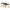 Salontafel Conrad set van 2 (Gold)