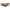 Salontafel Hexa set van 3 (Brushed Gold)