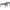 Salontafel Marquee set van 2 (Black/gold)
