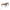 Salontafel Marquee set van 2 (Black/gold)