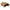 Salontafel RichWood | 80 cm
