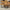 Salontafel RichWood | Set van 3
