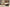 Salontafel Warren 180x45x31 Brown/ Gold