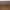Salontafel Warren  90x90x31b Brown/ Gold